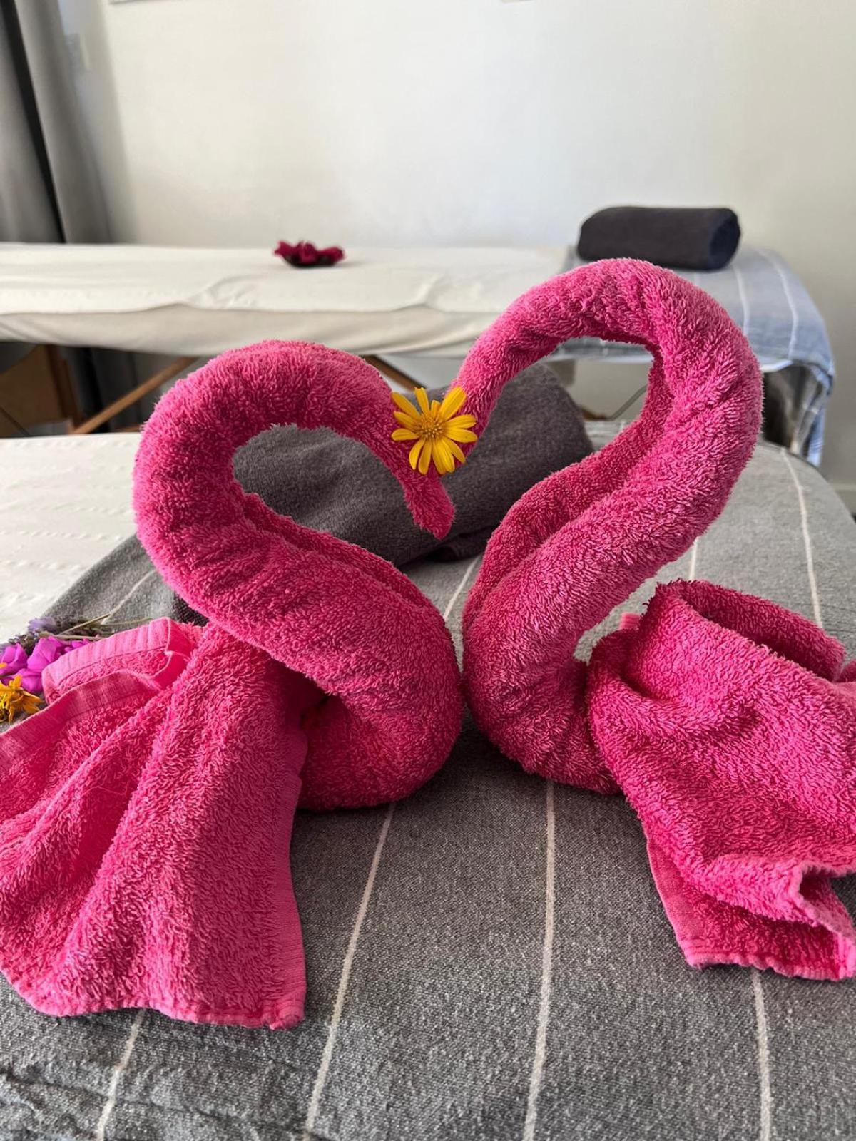 "L Eden Enchante" Chambres D'Hotes Et Spa Cote Basque Boucau Εξωτερικό φωτογραφία